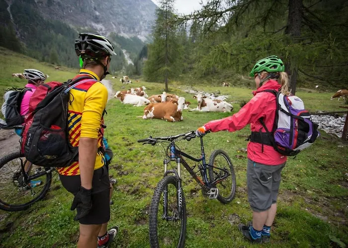 Appartement In Near Salzburg Alps Flachau